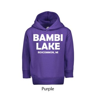 Toddler Hoodie