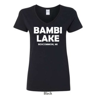Ladies V-Neck Tee